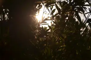 Kdy Začíná Bolest Prsou V Těhotenství